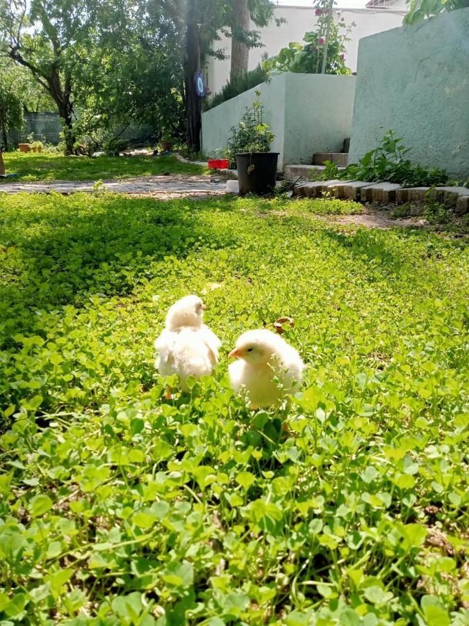 Salda Goelue Koca Kapi Konaklama Yesilova  Exterior foto