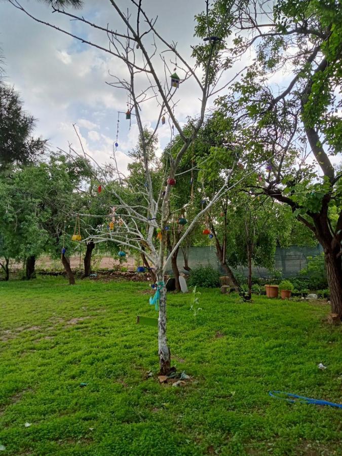 Salda Goelue Koca Kapi Konaklama Yesilova  Exterior foto