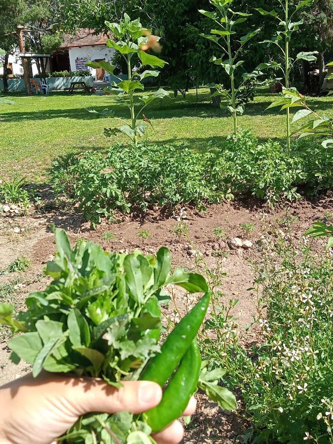 Salda Goelue Koca Kapi Konaklama Yesilova  Exterior foto